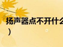 扬声器点不开什么问题（扬声器打不开怎么办）