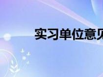 实习单位意见评语（实习生评语）