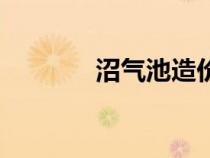 沼气池造价表（沼气池造价）