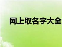 网上取名字大全女孩（网上取名字大全）