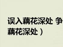 误入藕花深处 争渡争渡 惊起一滩鸥鹭（误入藕花深处）