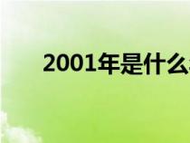 2001年是什么年（2000年是什么年）