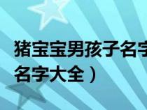 猪宝宝男孩子名字大全两个字（猪宝宝男孩子名字大全）