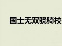 国士无双骁骑校TXT（国士无双骁骑校）