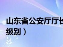 山东省公安厅厅长什么级别（公安厅厅长什么级别）