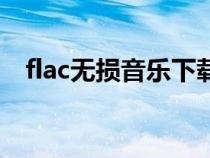 flac无损音乐下载百度云（flac无损音乐）