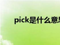 pick是什么意思（paint是什么意思）