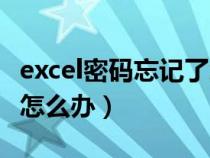 excel密码忘记了怎么解锁（excel密码忘记了怎么办）