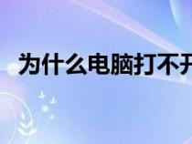 为什么电脑打不开软件（电脑打不开软件）