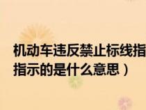 机动车违反禁止标线指示具体有哪些（机动车违反禁止标线指示的是什么意思）