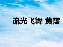 流光飞舞 黄霑（流光飞舞梅子黄时雨）