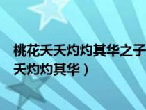 桃花夭夭灼灼其华之子于归宜其室家中归的意思是（桃花夭夭灼灼其华）