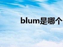 blum是哪个国家的牌子（blum）