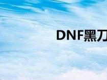 DNF黑刀暗月（dnf黑刀）