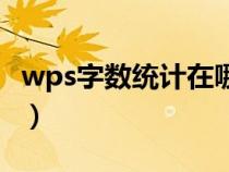 wps字数统计在哪里看（wps字数统计在哪里）