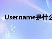 Username是什么意思（user是什么意思）