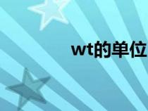 wt的单位（wt是什么单位）