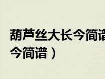 葫芦丝大长今简谱教唱视频第二（葫芦丝大长今简谱）