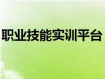 职业技能实训平台 开源（职业技能实训平台）