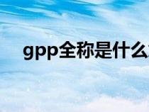 gpp全称是什么意思（GPP是什么意思）