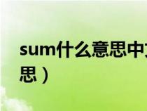 sum什么意思中文名字（surname是什么意思）