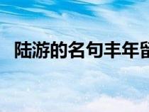 陆游的名句丰年留客足鸡豚（陆游的名句）