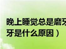 晚上睡觉总是磨牙是什么原因（成年人睡觉磨牙是什么原因）