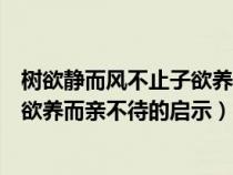 树欲静而风不止子欲养而亲不待的感悟（树欲静而风不止子欲养而亲不待的启示）