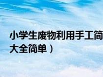 小学生废物利用手工简单又漂亮（小学生废物利用手工制作大全简单）