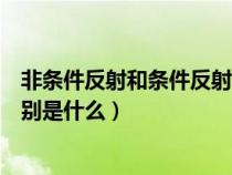 非条件反射和条件反射的异同（条件反射和非条件反射的区别是什么）