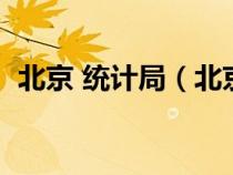 北京 统计局（北京市统计局官网直报平台）