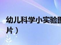 幼儿科学小实验图片大全（幼儿科学小实验图片）