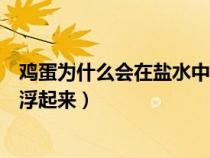 鸡蛋为什么会在盐水中浮起来原因（鸡蛋为什么会在盐水中浮起来）