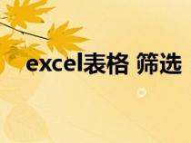 excel表格 筛选（excel电子表格中筛选）