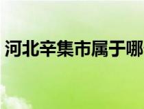 河北辛集市属于哪个市（辛集市属于哪个市）