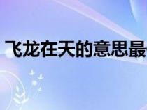 飞龙在天的意思最佳答案（飞龙在天的意思）