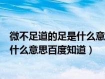 微不足道的足是什么意思道是什么意思（微不足道中的足是什么意思百度知道）