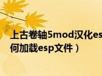 上古卷轴5mod汉化esp怎么用（上古卷轴5MOD管理器如何加载esp文件）