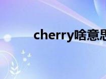 cherry啥意思（cherry什么意思）