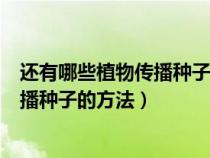 还有哪些植物传播种子的方法?你知道吗?（还有哪些植物传播种子的方法）