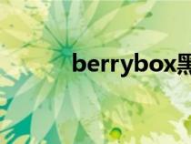 berrybox黑莓10（berrybox）