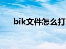 bik文件怎么打开（bip文件怎么打开）