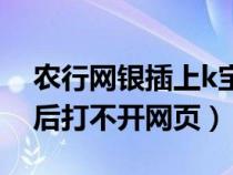 农行网银插上k宝网页打不开（农行k宝登录后打不开网页）