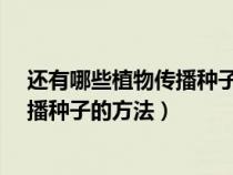 还有哪些植物传播种子的方法?举例说明（还有哪些植物传播种子的方法）