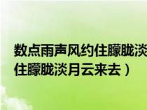 数点雨声风约住朦胧淡月云来去说什么意思（数点雨声风约住朦胧淡月云来去）