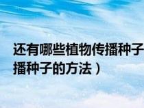 还有哪些植物传播种子的方法二年级上册（还有哪些植物传播种子的方法）