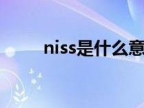 niss是什么意思（nss是什么意思）