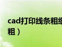 cad打印线条粗细设置标准（cad打印线条很粗）