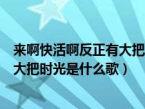 来啊快活啊反正有大把时光是什么歌词（来啊快活啊反正有大把时光是什么歌）