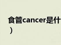 食管cancer是什么意思（cancer是什么意思）